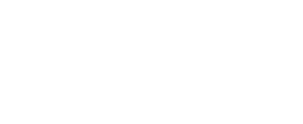 EPIC Footer Logo